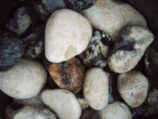 Singlessten 32–64 mm (pr. ton)